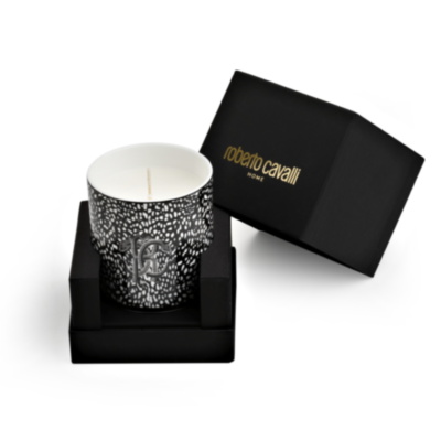 CANDLES Black Moray