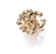 RC with Leaves Napkin Ring