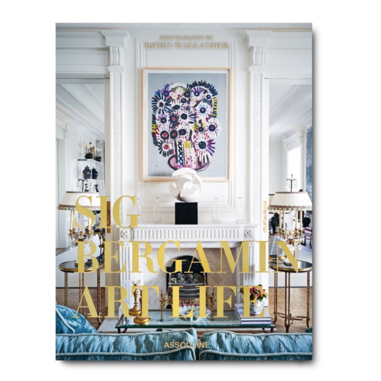 Art Life by Sig Bergamin ASSOULINE