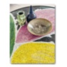 Art Life by Sig Bergamin ASSOULINE