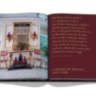 Maximalism by Sig Bergamin ASSOULINE