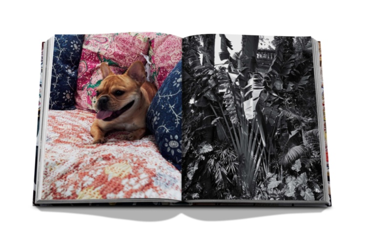 Maximalism by Sig Bergamin ASSOULINE