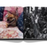 Maximalism by Sig Bergamin ASSOULINE