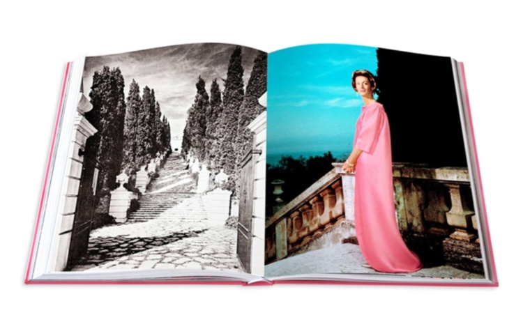 Swans: Legends of the Jet Society ASSOULINE
