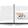 Tiffany & Co. Vision and Virtuosity (Ultimate Edition) ASSOULINE