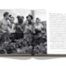 The Impossible Collection of Champagne ASSOULINE