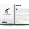 Punta del Este ASSOULINE