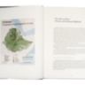 Ethiopian Highlands ASSOULINE