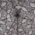 Python Umbrella Pasotti