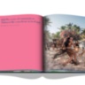 Tulum Gypset ASSOULINE