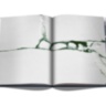 The Arctic Melt: Images of a Disappearing Landscape ASSOULINE