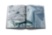 The Arctic Melt: Images of a Disappearing Landscape ASSOULINE