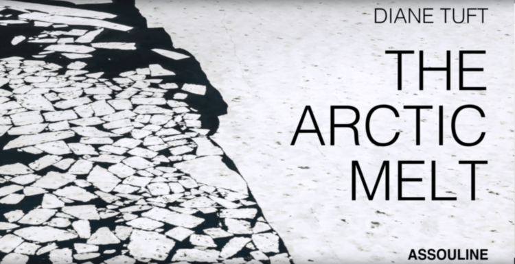 The Arctic Melt: Images of a Disappearing Landscape ASSOULINE