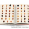 Saudi Dates: A Portrait of the Sacred Fruit ASSOULINE
