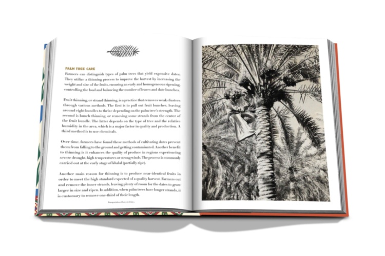 Saudi Dates: A Portrait of the Sacred Fruit ASSOULINE