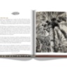 Saudi Dates: A Portrait of the Sacred Fruit ASSOULINE
