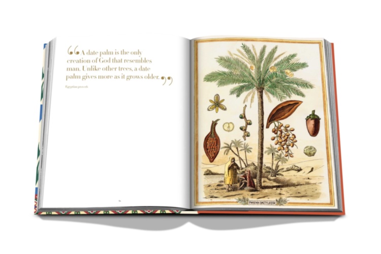 Saudi Dates: A Portrait of the Sacred Fruit ASSOULINE