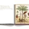 Saudi Dates: A Portrait of the Sacred Fruit ASSOULINE