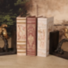 Bookend Birds DESIGNER DECORATION