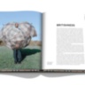 Burberry ASSOULINE