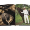 Panama: Legendary Hats ASSOULINE