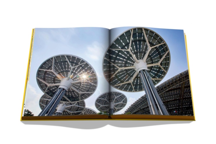 Expo 2020 Dubai: Catalog-Site, Themes, Architecture ASSOULINE