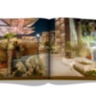 Expo 2020 Dubai: Catalog-Site, Themes, Architecture ASSOULINE