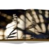 Expo 2020 Dubai: Catalog-Site, Themes, Architecture ASSOULINE