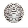 Dessert Plate Tiger