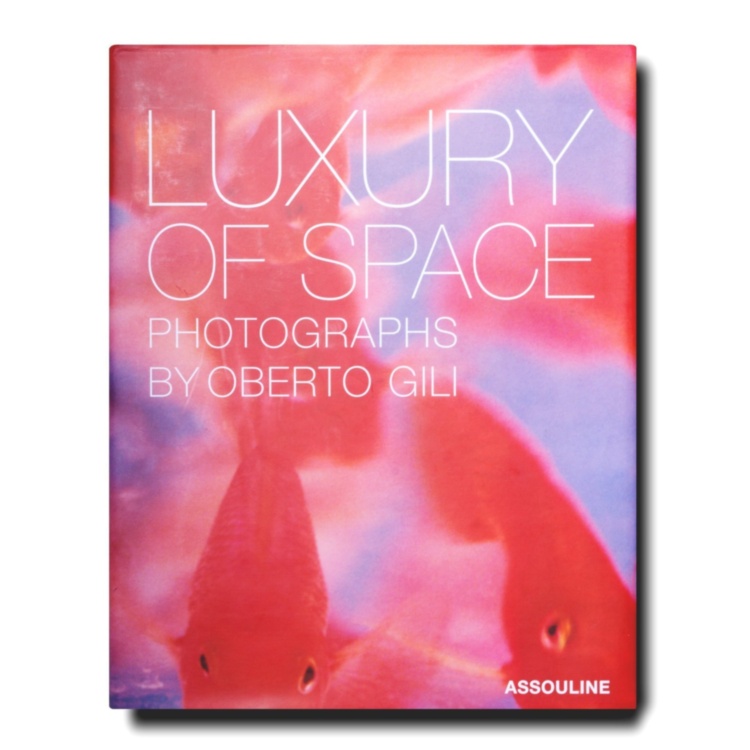 Luxury of Space ASSOULINE