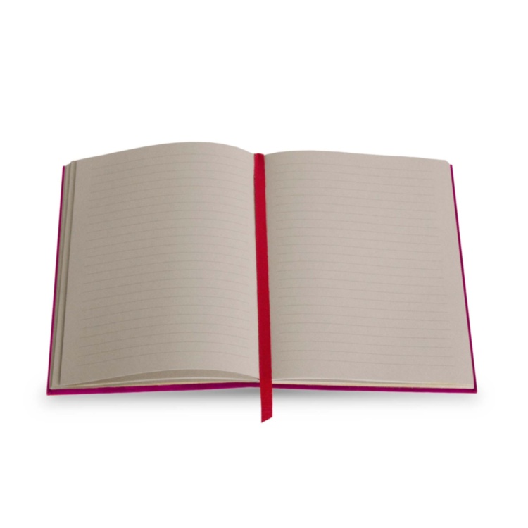 Obsessions Notebook ASSOULINE