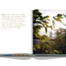 Saudi Coffee: The Culture of Hospitality ASSOULINE