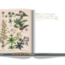 Saudi Coffee: The Culture of Hospitality ASSOULINE