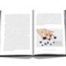 Tiffany & Co. Vision and Virtuosity (Icon Edition) ASSOULINE