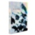 The Coral Triangle ASSOULINE