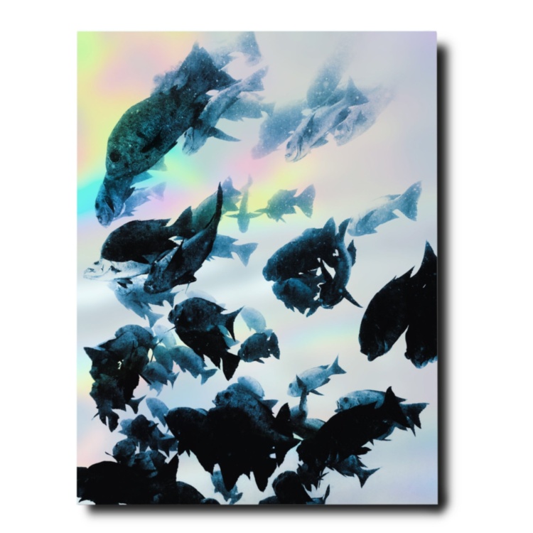 The Coral Triangle ASSOULINE