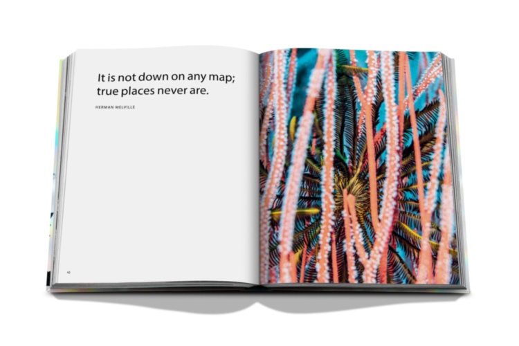 The Coral Triangle ASSOULINE