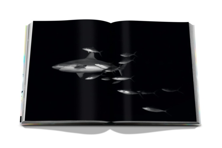 The Coral Triangle ASSOULINE