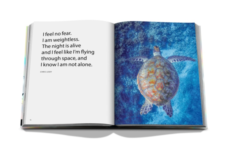 The Coral Triangle ASSOULINE