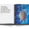 The Coral Triangle ASSOULINE