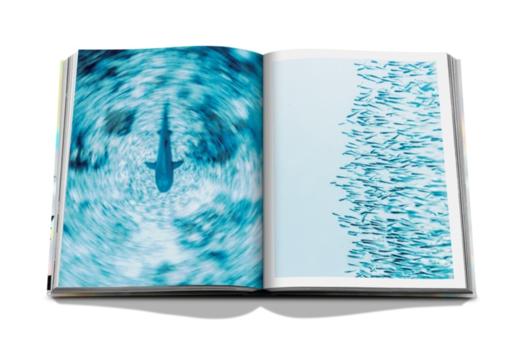 The Coral Triangle ASSOULINE