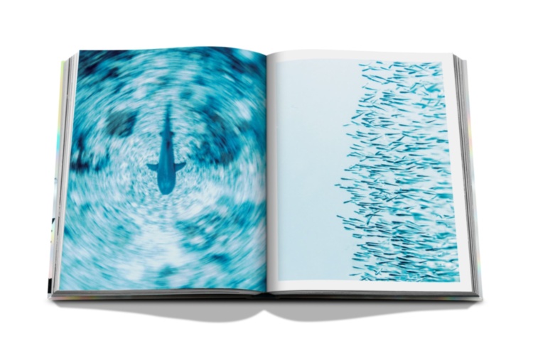 The Coral Triangle ASSOULINE