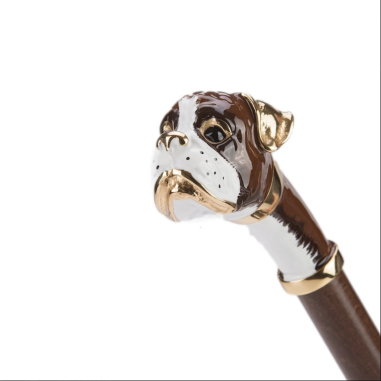 Boxer Shoehorn Pasotti