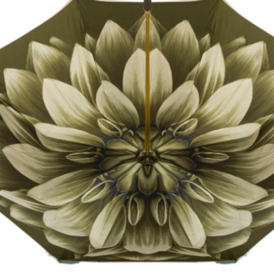 Зелена парасоля Dahlia, подвійна тканина Pasotti