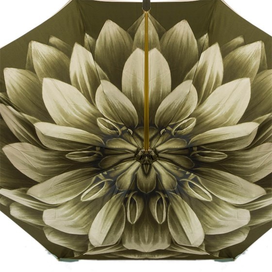 Зелена парасоля Dahlia, подвійна тканина Pasotti