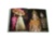 Bals: Legendary Costume Balls of the Twentieth Century ASSOULINE