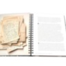 Dinner with Jackson Pollock: Recipes, Art \u0026 Nature ASSOULINE