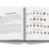 Catalogue Raisonne du Mobilier: Jeanneret Chandigarh ASSOULINE