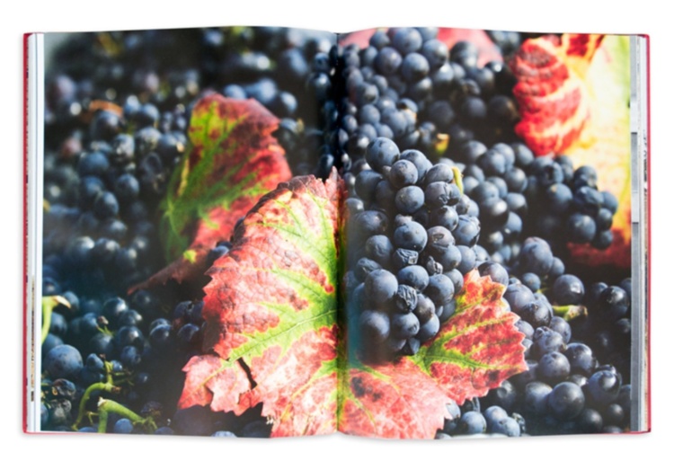 Nine Centuries in the Heart of Burgundy ASSOULINE