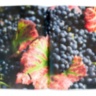 Nine Centuries in the Heart of Burgundy ASSOULINE